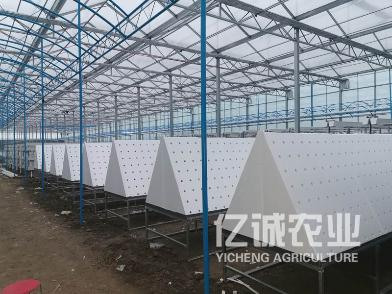薯類(lèi)作物的溫室大棚怎么建設(shè)？造價(jià)高不高？
